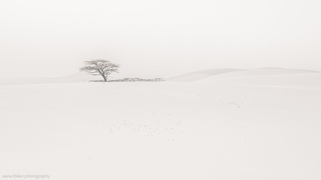Mauritania, Sahara, Desert, dunes, B&W