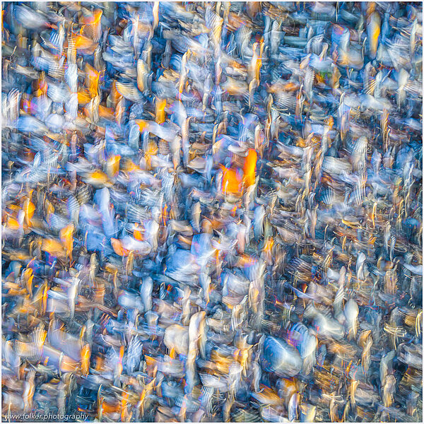 Folker, Michaelsen, Aesthetic, minimal, abstract, art, photography, minimalism, painterly, creative, special, beautiful, modern, Norderney