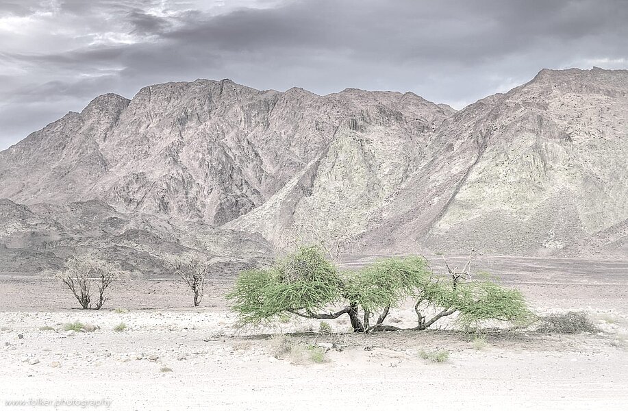 Timna Park, Negev, Israel