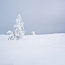 Folker, Michaelsen, Aesthetic, minimal, abstract, art, photography, minimalism, creative, special, beautiful, simplicity, quietness, Lapland, Finland