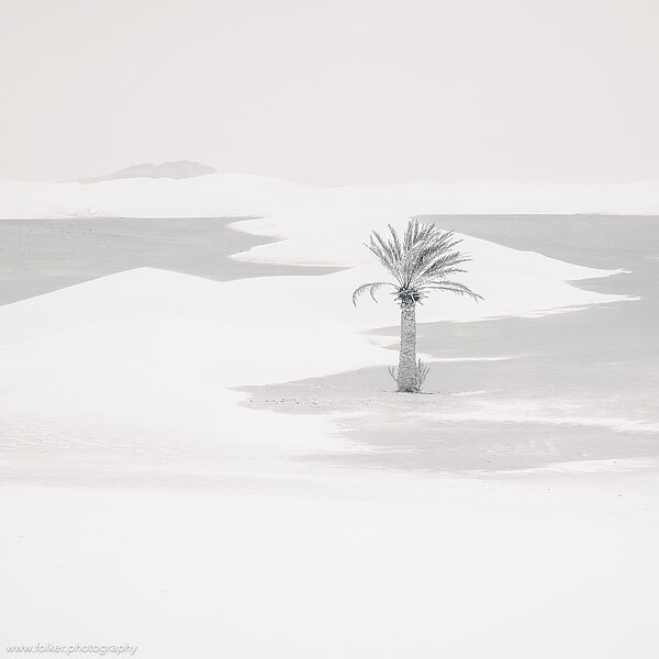 Morocco, Africa, Sahara, desert, Merzouga