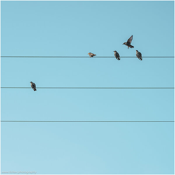implicity, quietness, freedom, Minimal, negativ space, long exposure, Folker, Michaelsen, art, photography