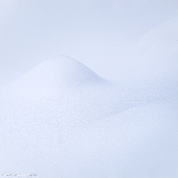 Lapland, Finland, winter, snow, tree, untouched