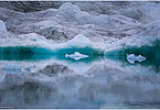 The backdrop of this fine-art photograph is formed and filled by a bigger iceberg with reflection in the water. Smaller elegantly shaped pieces of ice are passing in the foreground. Different shades of ice-blue color tones and cracks in the ice create a symmetric and well-balanced image that almost feels abstract. Picture was taken at the Sermilik fjord in East-Greenland.