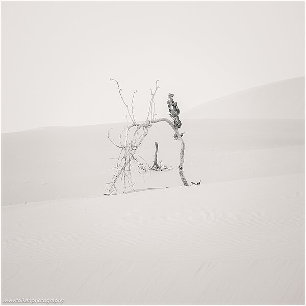 Mauritania, Sahara, Desert, dunes B&W