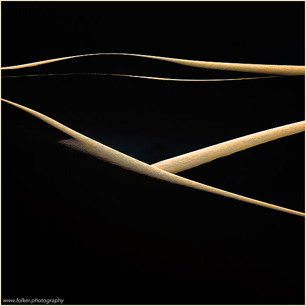 simplicity, quietness, freedom, Minimal, negativ space, Folker, Michaelsen, art, photography