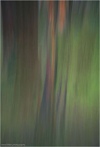 Trees, Munich, abstract, ICM