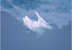 This fine-art photograph shows a minimalistic detail of a small iceberg in front of the reflection of a bigger iceberg. Picture was taken at the Sermilik fjord in East-Greenland. 