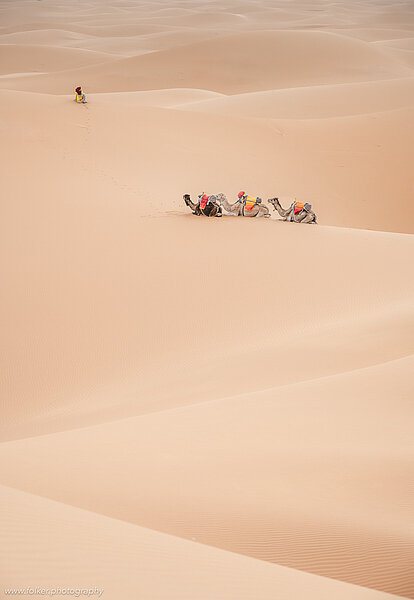 Morocco, Africa, Sahara, desert, Merzouga