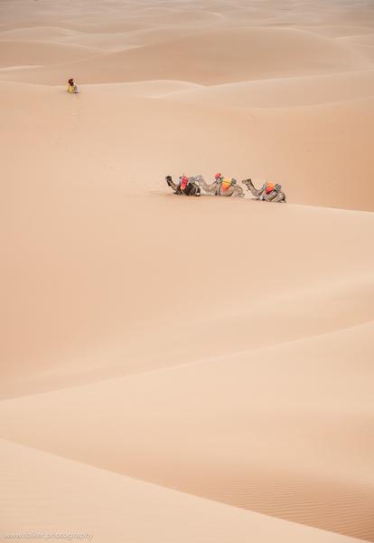 Morocco, Africa, Sahara, desert, Merzouga