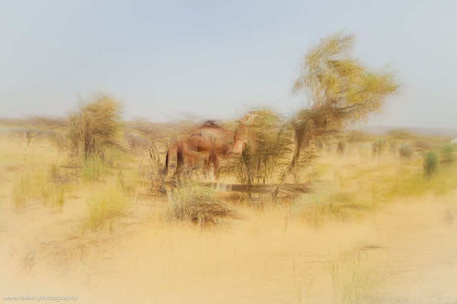 Landscape, Minimalism, ICM, painterly, ME, atmosphere, mood, Folker, Michaelsen, abstract, art