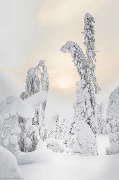 Lapland, winter, snow, sculptures, Finland