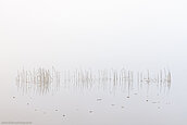 Folker, Michaelsen, Aesthetic, minimal, abstract, art, photography, minimalism, creative, special, beautiful, simplicity, quietness, Staffelsee, Bavaria
