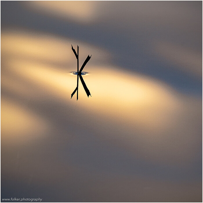 "K" FFolker, Michaelsen, Aesthetic, minimal, abstract, art, photography, minimalism, impressionism, ICM, multiple exposure, painterly, creative, special, beautiful, Osterseen, Bavaria