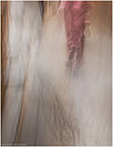 Folker, Michaelsen, Aesthetic, minimal, abstract, art, photography, minimalism, painterly, creative, special, beautiful, impressionism, Morocco, Fés