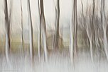 Folker, Michaelsen, Aesthetic, minimal, abstract, art, photography, minimalism, painterly, creative, special, beautiful, impressionism, Murnauer Moos, Germany, Bavaria