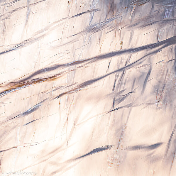 Mauritania, Sahara, Desert, dunes, abstract, ICM, ME