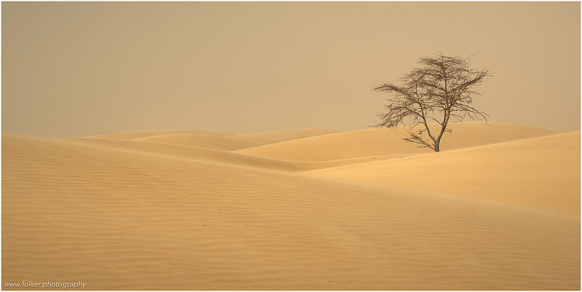 Mauritania, Sahara