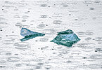 This fine-art photograph showing a minimalistic detail of a small iceberg surrounded by water drops from rain. Picture was taken at the Sermilik fjord in East-Greenland.