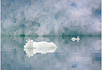 The backdrop of this fine-art photograph is formed and filled by a bigger iceberg with reflection in the water. Smaller elegantly shaped pieces of ice are passing in the foreground. Different shades of ice-blue color tones and cracks in the ice create a symmetric and well-balanced image that almost feels abstract. Picture was taken at the Sermilik fjord in East-Greenland.
