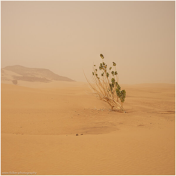Mauritania, Sahara, Desert, dunes, Dry fog