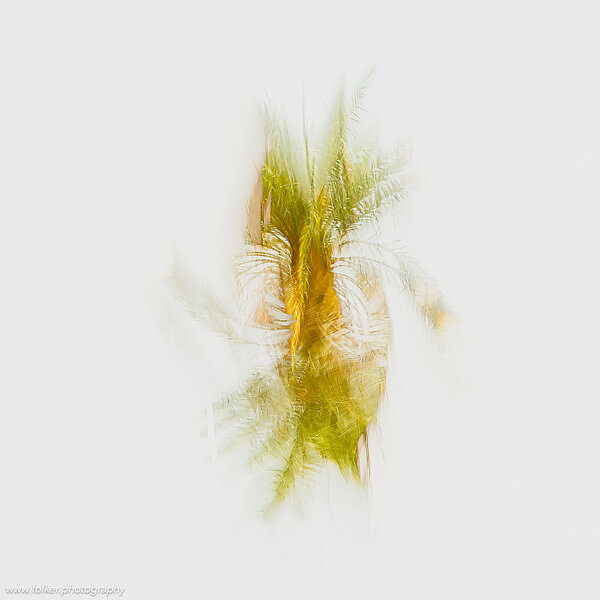 Folker, Michaelsen, Aesthetic, minimal, abstract, art, photography, minimalism, painterly, creative, special, beautiful, modern, Mauritania