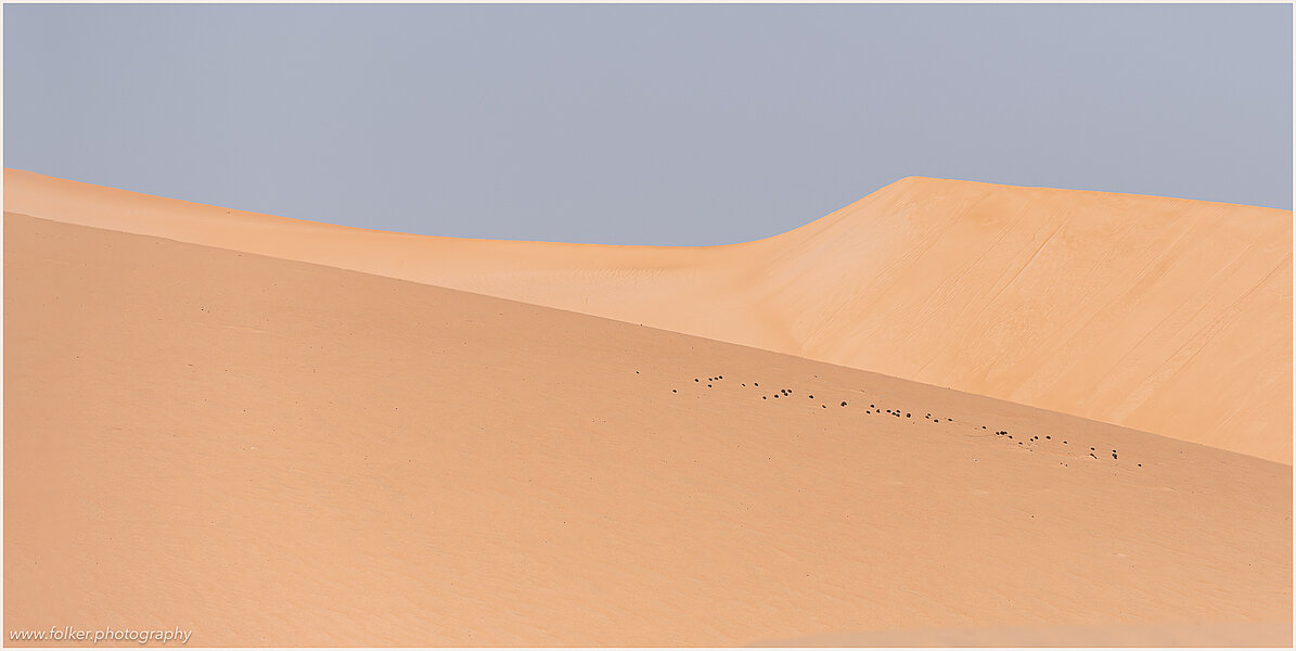Mauritania, Sahara, Desert, dunes