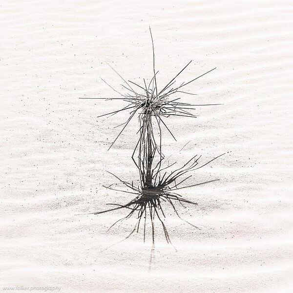 Mauritania, Sahara, Desert, dunes, B&W