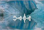 The backdrop of this fine-art photograph is formed and filled by a bigger iceberg with reflection in the water. Smaller elegantly shaped pieces of ice are passing in the foreground. Different shades of ice-blue color tones and cracks in the ice create a symmetric and well-balanced image that almost feels abstract. Picture was taken at the Sermilik fjord in East-Greenland.