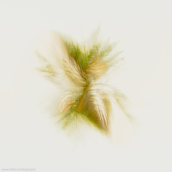 Folker, Michaelsen, Aesthetic, minimal, abstract, art, photography, minimalism, painterly, creative, special, beautiful, modern, Mauritania