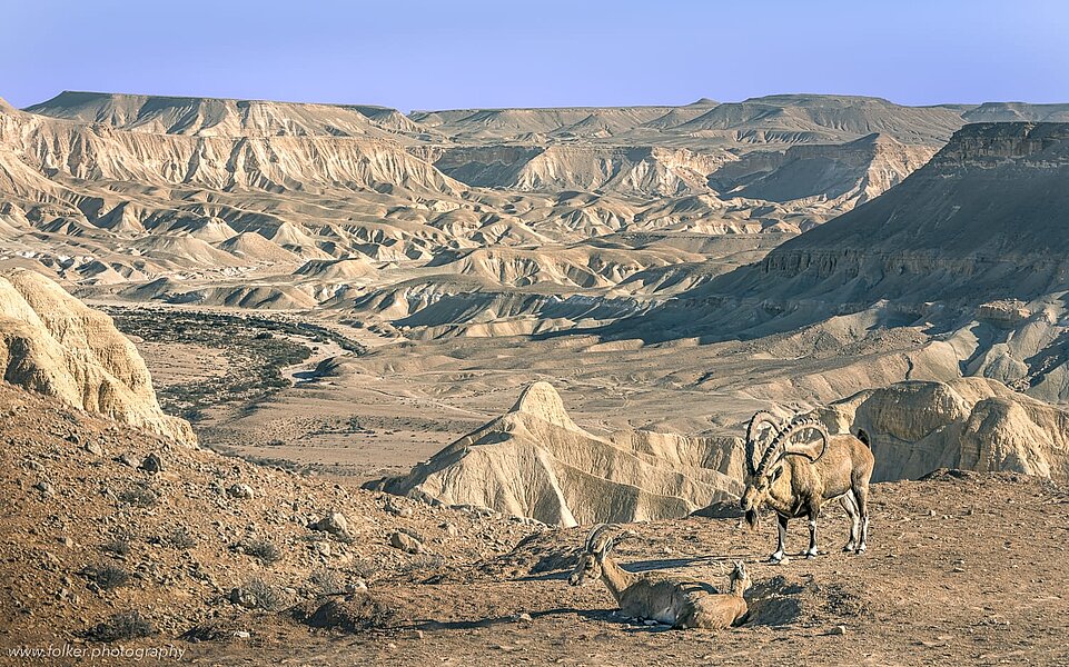 Midreshed Ben-Gurion, Negev, Israel