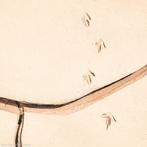 Morocco, Africa, river bed, abstract
