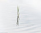 Folker, Michaelsen, Aesthetic, minimal, abstract, art, photography, minimalism, creative, special, beautiful, simplicity, quietness, Murnauer Moos, Bavaria
