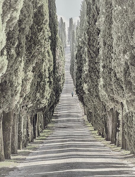 tuscany, crete senesi