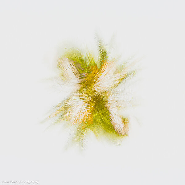 Folker, Michaelsen, Aesthetic, minimal, abstract, art, photography, minimalism, painterly, creative, special, beautiful, modern, Mauritania