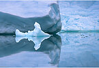 The backdrop of this fine-art photograph is formed and filled by a bigger iceberg with reflection in the water. Smaller elegantly shaped pieces of ice are passing in the foreground. Different shades of ice-blue color tones and cracks in the ice create a symmetric and well-balanced image that almost feels abstract. Picture was taken at the Sermilik fjord in East-Greenland.