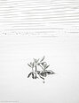 Folker, Michaelsen, Aesthetic, minimal, abstract, art, photography, minimalism, creative, special, beautiful, simplicity, quietness, Barmsee, Bavaria
