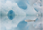 The backdrop of this fine-art photograph is formed and filled by a bigger iceberg with reflection in the water. Smaller elegantly shaped pieces of ice are passing in the foreground. Different shades of ice-blue color tones and cracks in the ice create a symmetric and well-balanced image that almost feels abstract. Picture was taken at the Sermilik fjord in East-Greenland. This image has a square aspect ratio.