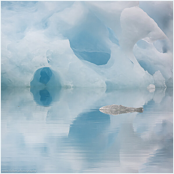The backdrop of this fine-art photograph is formed and filled by a bigger iceberg with reflection in the water. Smaller elegantly shaped pieces of ice are passing in the foreground. Different shades of ice-blue color tones and cracks in the ice create a symmetric and well-balanced image that almost feels abstract. Picture was taken at the Sermilik fjord in East-Greenland. This image has a square aspect ratio.
