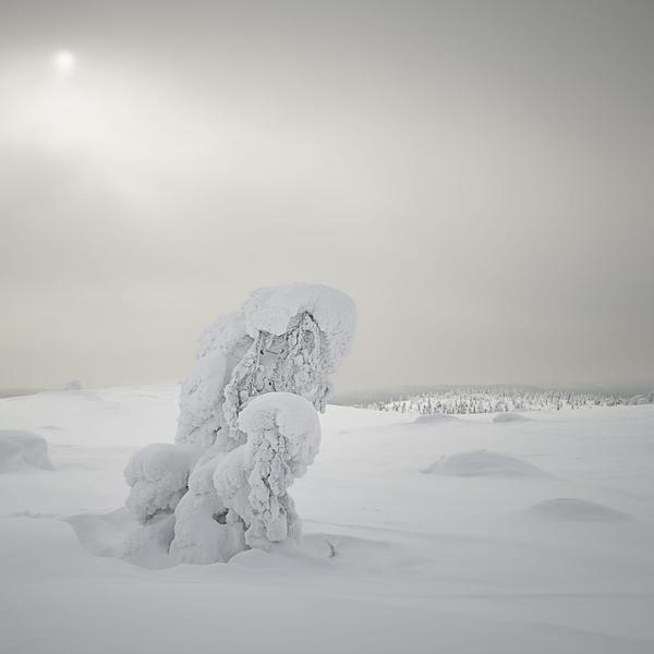 Snow sculptures. Lapland
